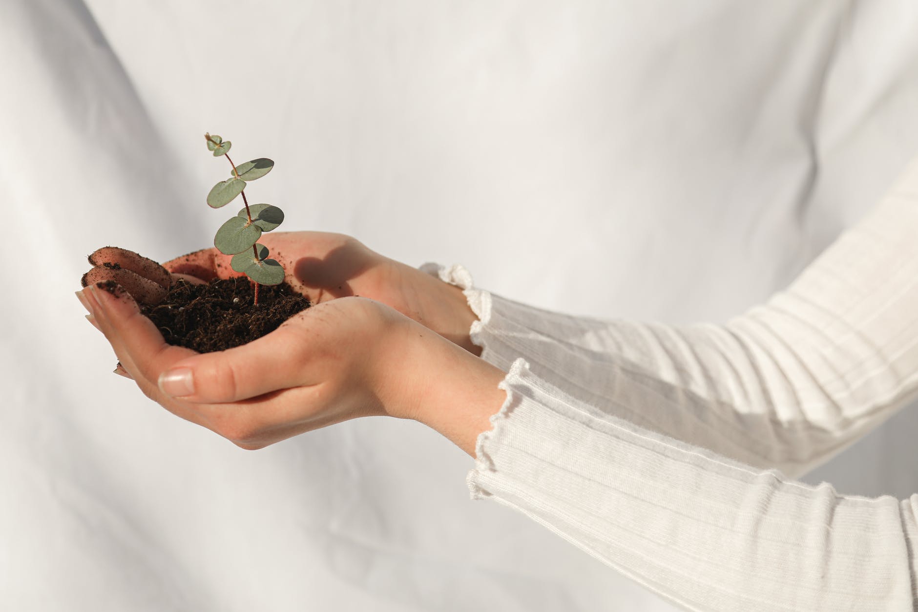 a woman holding a plant with soil